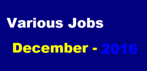 jobs 2016