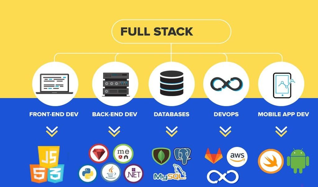 Full stack developer